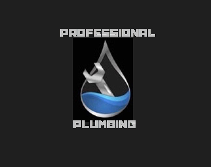 Professional Plumbing Logo